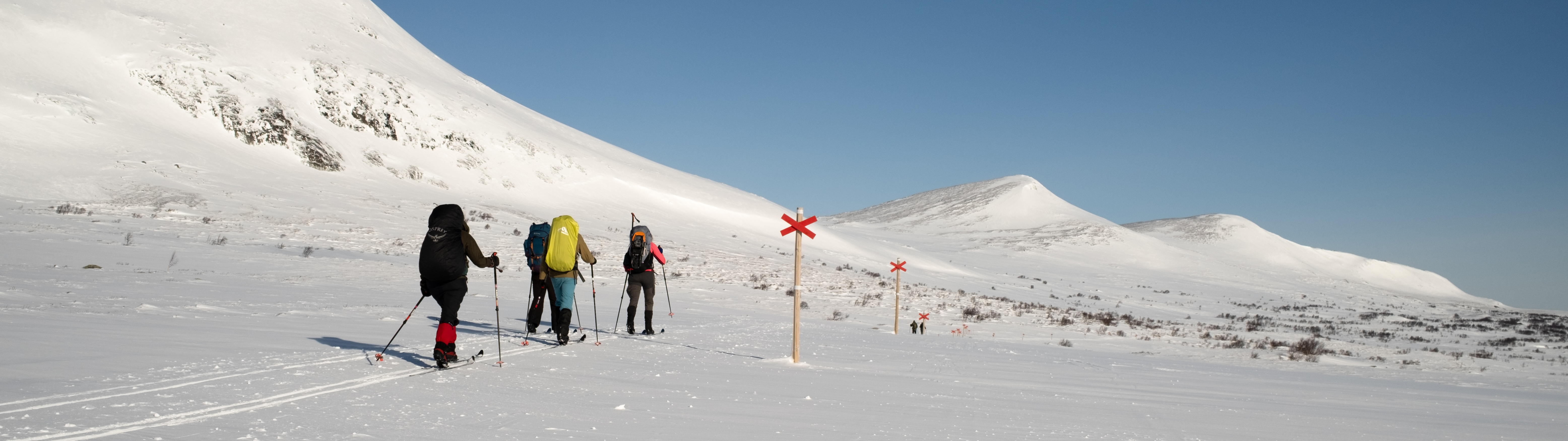Zweden Backcountry